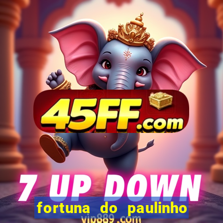 fortuna do paulinho do roupa nova
